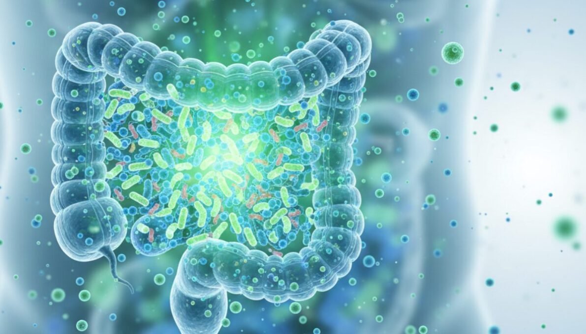 Most people don't think about their gut until something goes wrong: bloating after meals, sluggish digestion, or catching every cold that goes around the office.