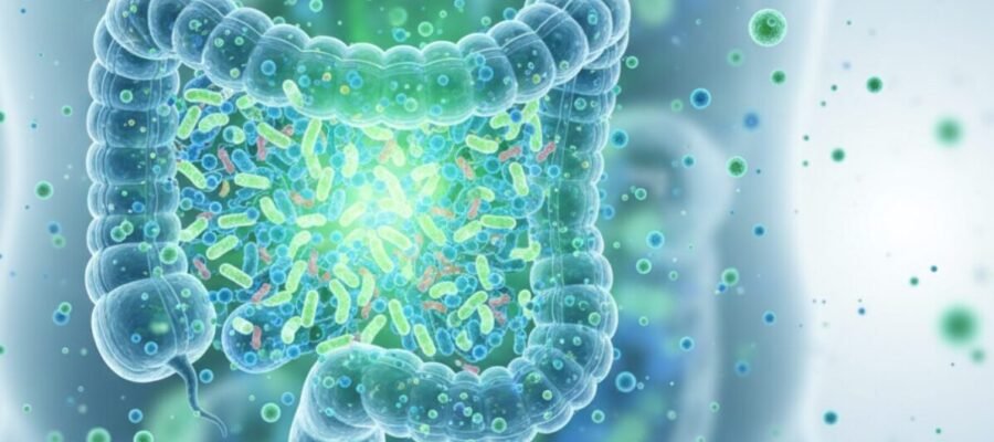 Most people don't think about their gut until something goes wrong: bloating after meals, sluggish digestion, or catching every cold that goes around the office.